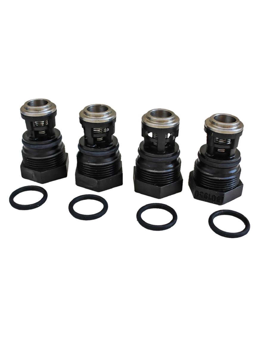 VALVOLE PER MOTOPOMPA IRRORATRICE kit 4 pezzi