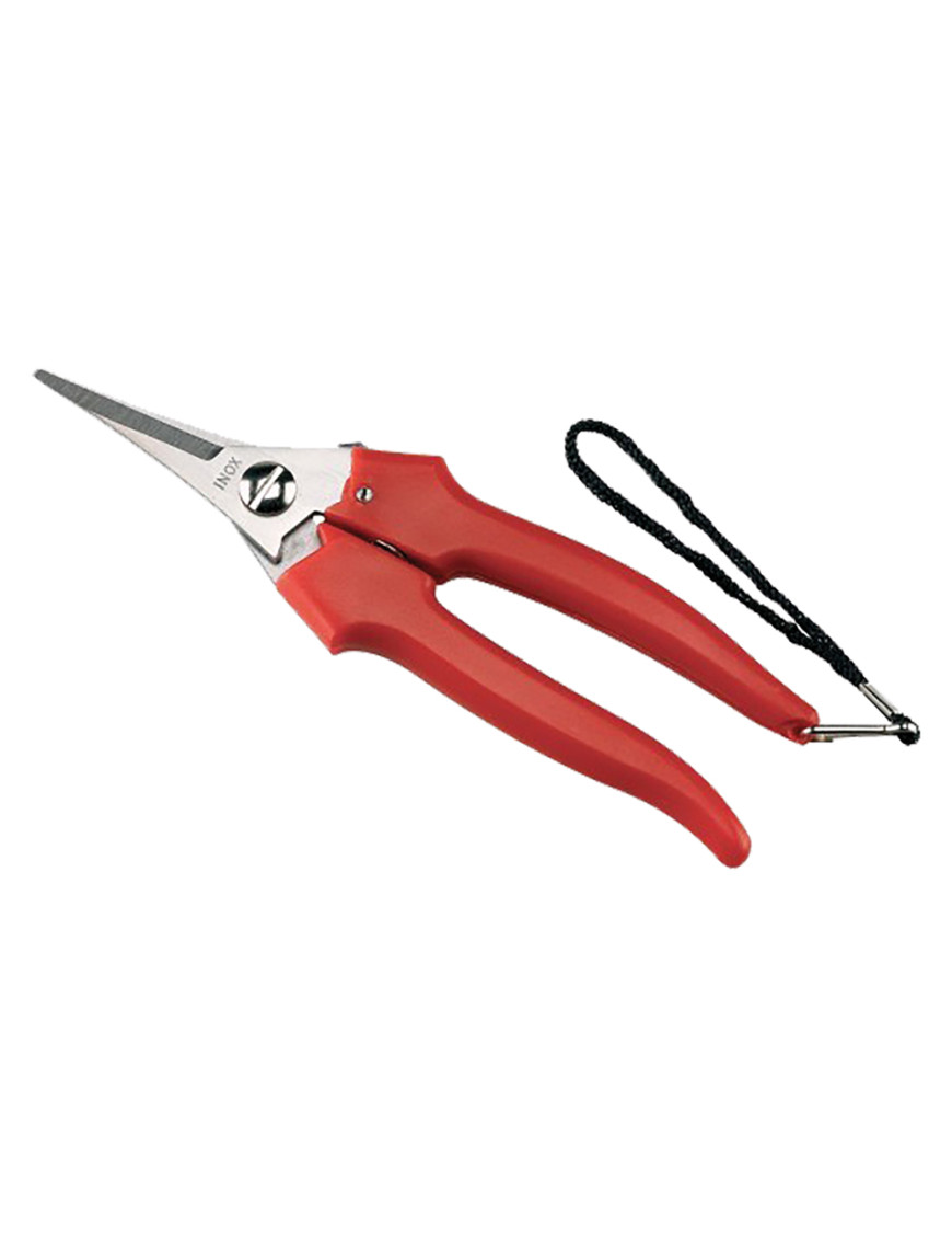 FORBICI COGLIUVA -LAME STRETTE- art. 31329 - cm 19