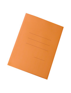 CARTELLINA LEGGERA IN...